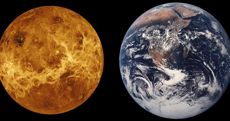 Comparaison : Bing Ads face aux autres régies