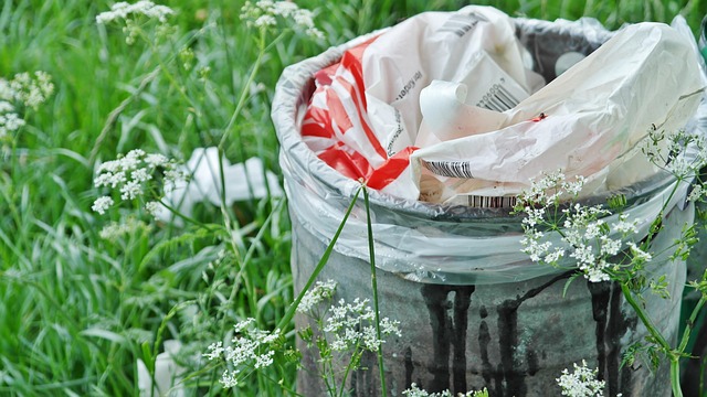 Tracteur poubelles : tout savoir sur l’entretien et la gestion en 2025