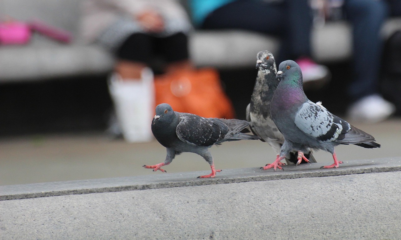 Comment devenir un leader inspirant pour son équipe ?