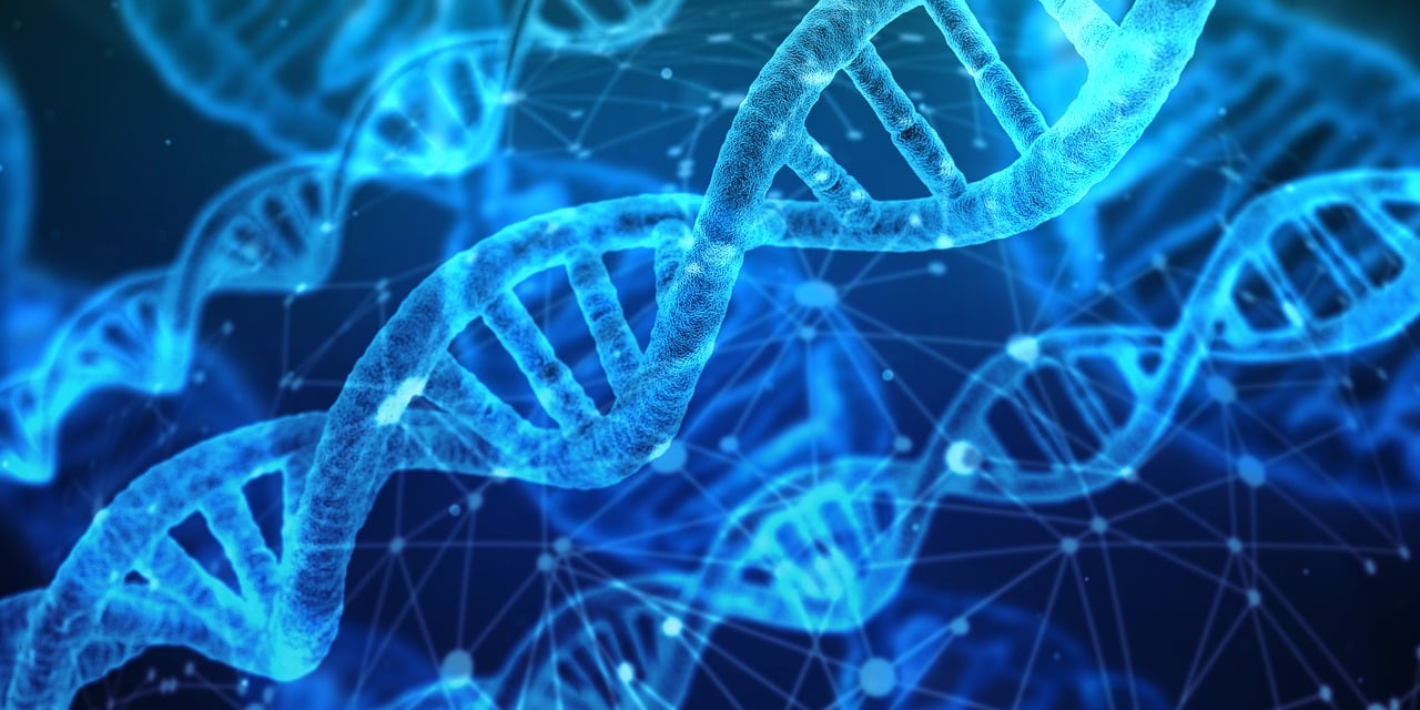 découvrez les dernières innovations technologiques qui transforment le monde, des avancées en intelligence artificielle aux nouvelles tendances du numérique. explorez comment la technologie façonne notre avenir.